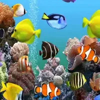 استخدام نیروی مردمنطقه۱۰.آکواریوم فروشی