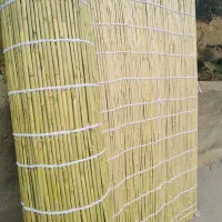 حصیر یا چیق