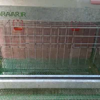 قفس مرغ تخم گذار