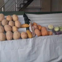 میز وپالت میوه فروشی در حدنو ورق ضخیم|فروشگاه و مغازه|شاهدشهر, |دیوار