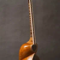 تدریس خصوصی و آنلاین تار برای بانوان و کودکان