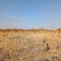 فروش زمین کشاورزی|فروش دفتر صنعتی، کشاورزی، تجاری|ارومیه, |دیوار