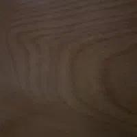 گوهینامه پیدا شده