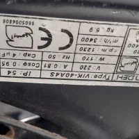 دو عدد عروس هلندی|پرنده|سلمان‌شهر, |دیوار