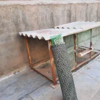 لوازم جانبی پرنده|لوازم جانبی حیوانات|قم, هنرستان|دیوار