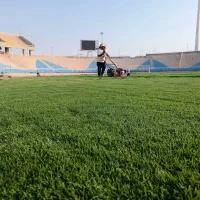 کاشت چمن