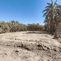 زمین مصطفی خمینی