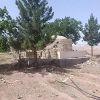 زمین-باغ-باغچه
