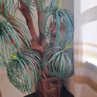 گل و گلدان|گل مصنوعی|ماکو, |دیوار