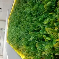 پخش و نصب گرین وال و دیوار سبز