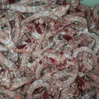 اسکلت مرغ
