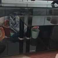 میزتلویزیون شیشه ای|میز تلویزیون|قم, شاه ابراهیم|دیوار