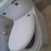 فرنگی سالم  کم کارکرد