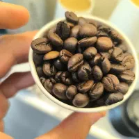 نیرو خانوم قهوه فروشی
