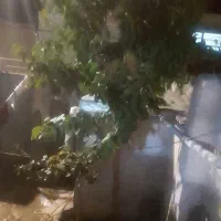 منزل‌‌فروشی‌قیمت‌مناسب