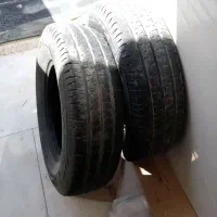 لاستیک مزداوانت