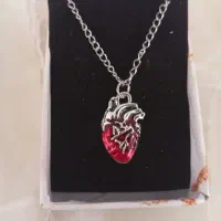 بدلیجات رنگ ثابت|بدلیجات|تبریز, |دیوار