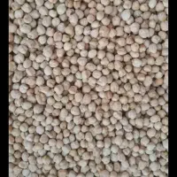 نخود درشت|خوردنی و آشامیدنی|دهگلان, |دیوار