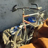 دوچرخه26|دوچرخه، اسکیت، اسکوتر|سبزوار, توحیدشهر|دیوار