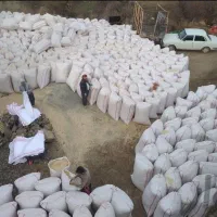 فروش عمده خوراک دام و طیور زیر قیمت بازار|عمده‌فروشی|زرندیه, |دیوار