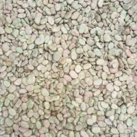 باقالی خشک تازه زودپز