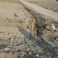 نیروی کار کشاورزی|فعالیت داوطلبانه|خورموج, |دیوار