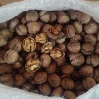 گردو تازه امسال