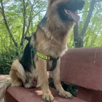 واگذاری ژرمن