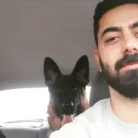 مربی سگ - رفتارشناس سگ - انواع‌نژادها|خدمات آموزشی|پردیس, فاز ۱|دیوار