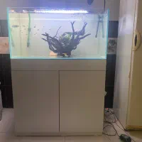 اکواریوم به همراه میز apa