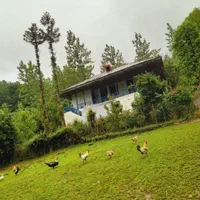 ویلا. کلبه جنگلی