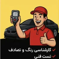 کارشناسی انواع خودرو ها و تشخیص رنگ و فنی زیر قیمت