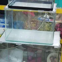 آکواریوم شیشه خم شرکت دلسا|ماهی|شیراز, خلدبرین|دیوار