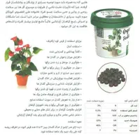 قرص کود ارگانیک نانو|گل و گیاه طبیعی|رباط‌کریم, رباط‌کریم|دیوار