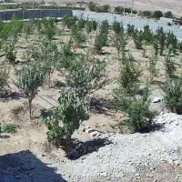 باغ ویلاکاشان|فروش خانه و ویلا|تهران, بوستان ولایت|دیوار