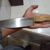 کبوتر|کلکسیون و سرگرمی|ایذه, |دیوار