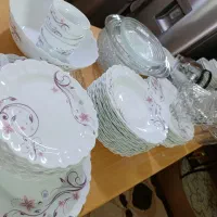 سرویس آرکوپال و چینی