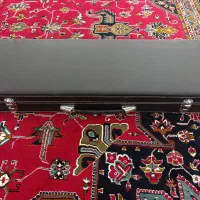 هاردکیس ویولن حرفه ای