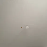 اجاره-مغازه-جهت-انبار