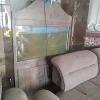 شش عدد ماهی کوی