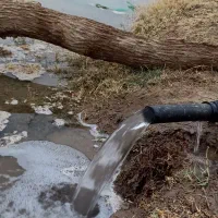 زمین کشاورزی باتمام امکانات|اجارهٔ دفتر صنعتی، کشاورزی، تجاری|نیمروز, |دیوار