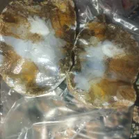 سنگ عقیق شجر