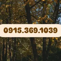 0915.369.1039