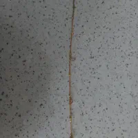 پابند ستاره