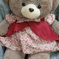 عروسک خرس بزرگ|اسباب‌بازی بچه|پاکدشت, پاکدشت (مامازند)|دیوار