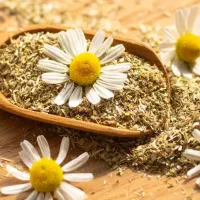 راهنمایی میکنم