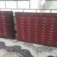 یک جفت پشتی