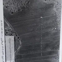 مزایده زمین کشاورزی به متراژ ۱۶ هکتار|فروش زمین و ملک کلنگی|اسلامآباد غرب, |دیوار