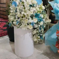 گل رز سفید ابی
