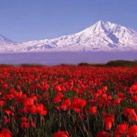 کار خدمات گردشگری و رفاهی